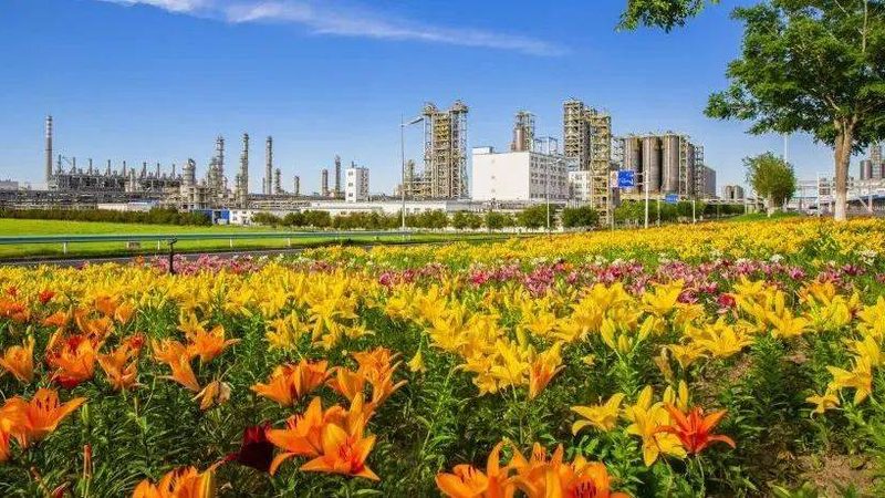 木材胶粘剂：揭秘其价格背后的秘密